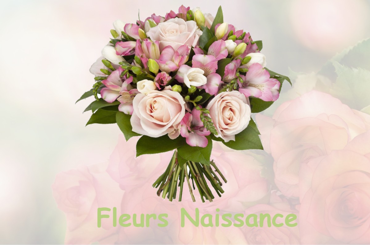 fleurs naissance PASSENANS