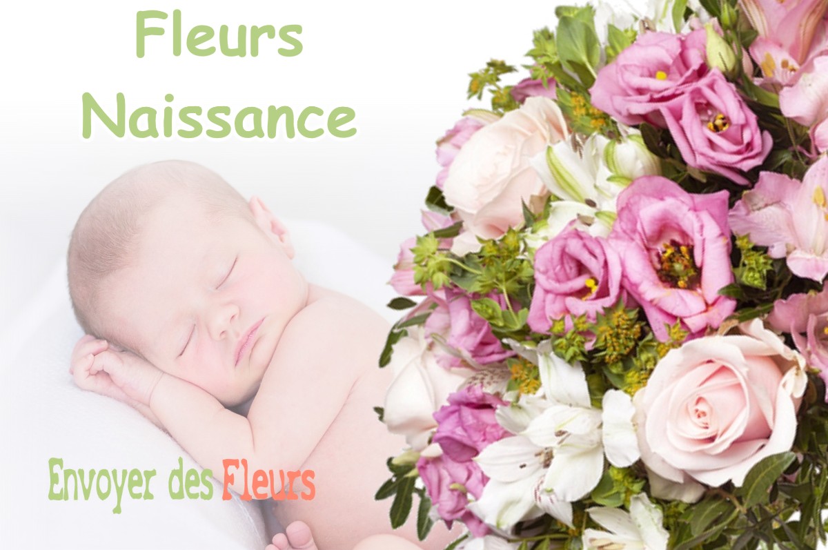 lIVRAISON FLEURS NAISSANCE à PASSENANS